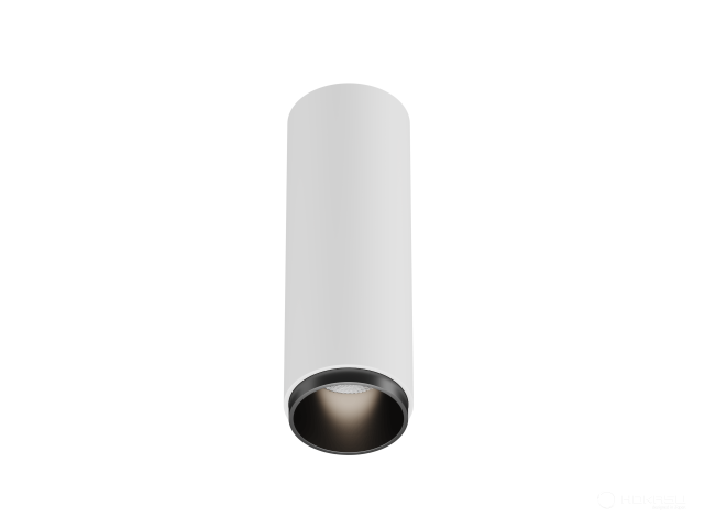 Lamp HOKASU Tube Zoom (RAL9003+B/D55/160mm — 5K/10W/12-50deg)