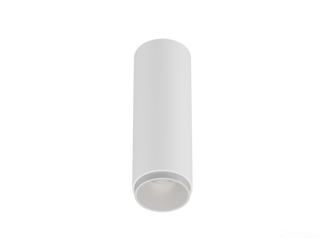Lamp HOKASU Tube Zoom (RAL9003/D55/160mm — 2.7K/10W/12-50deg)