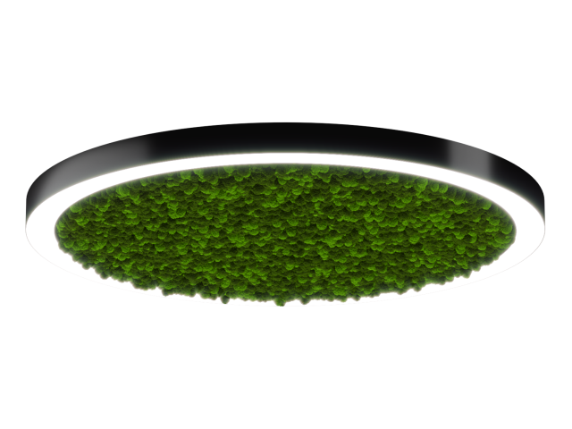 Lamp HOKASU Halo Moss (RAL9005/D1250/LT70 — 4K/118W/120deg)