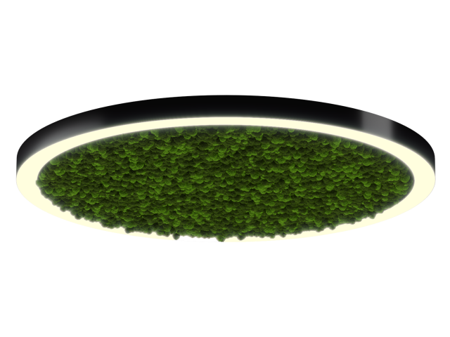 Lamp HOKASU Halo Moss (RAL9005/D1400/LT70 — 3K/132W/120deg)
