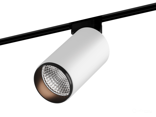 Lamp HOKASU Tube Zoom TR4 (RAL9003+B/D85/160mm — 2.7K/30W/12-50deg/CRI97/VB)
