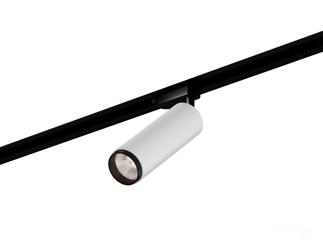 Lamp HOKASU Tube Zoom TR2 (RAL9003+B/D55/160mm — 2.7K/10W/12-50deg)
