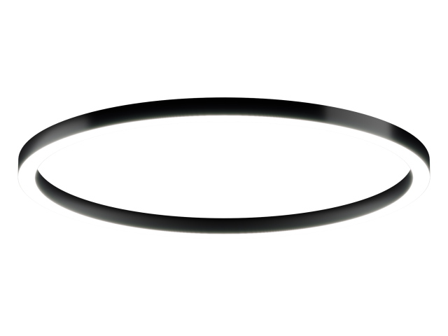 Lamp HOKASU Halo (RAL9005/D1700/LT70/IP65 — 4K/160W/120deg)