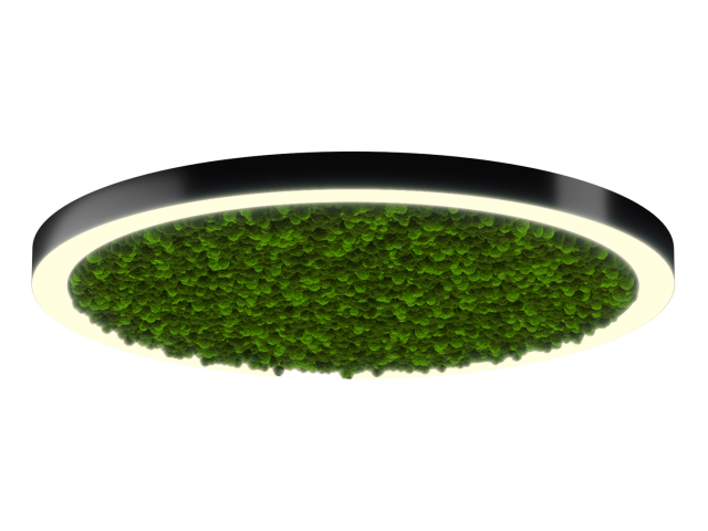 Lamp HOKASU Halo Moss (RAL9005/D1250/LT70 — 3K/118W/120deg)