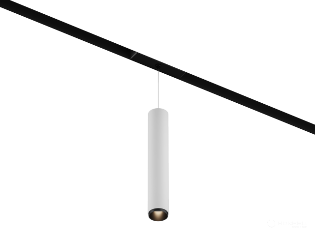 Lamp HOKASU OneLine Tube Hang Zoom (RAL9003+B/D55/320mm — 3K/10W/12-50deg)