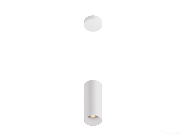 Lamp HOKASU Tube Hang (RAL9003/D85/160mm/Lens — 2.7K/20W/60deg)