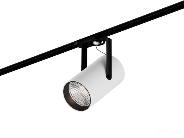 Lamp HOKASU Tube Clip TR2 (RAL9003+B/D85 — 3K/30W/38deg)