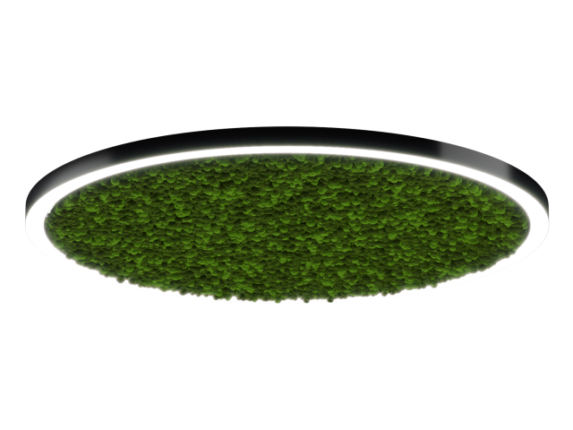 Lamp HOKASU Halo Moss (RAL9005/D2000/LT70 — 4K/188W/120deg)