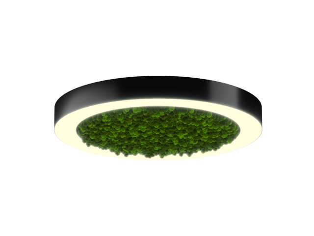 Lamp HOKASU Halo Moss (RAL9005/D625/LT70 — 3K/59W/120deg)