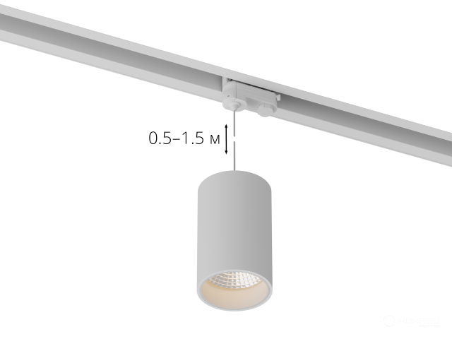 Lamp HOKASU Tube Hang TR4 (RAL9003/D75/160mm — 4K/20W/23deg)