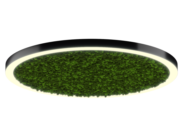 Lamp HOKASU Halo Moss (RAL9005/D1550/LT70 — 3K/146W/120deg)