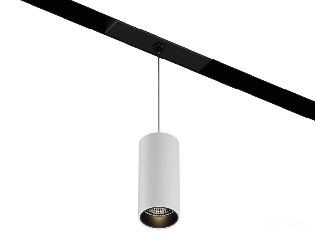 Lamp HOKASU OneLine Tube Hang (RAL9003+B/D55/120mm — 3K/10W/10deg)