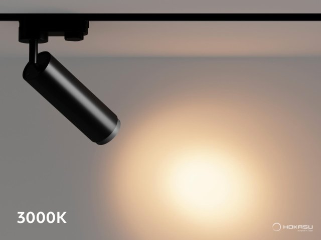 Track lamp HOKASU Tube Zoom TR4