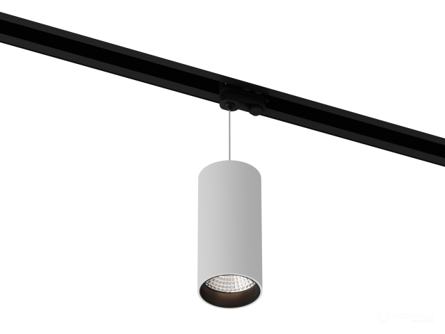Lamp HOKASU Tube Hang TR4 (RAL9003+B/D55/160mm — 5K/10W/10deg)