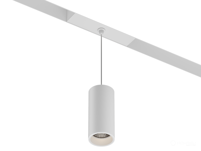 Lamp HOKASU OneLine Tube Hang (RAL9003/D55/120mm — 3K/10W/23deg)