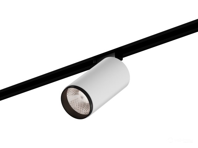 Lamp HOKASU Tube Zoom TR2 (RAL9003+B/D85/160mm — 2.7K/30W/12-50deg/CRI97/VB)