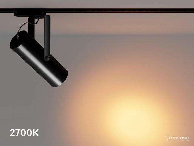 Track lamp HOKASU Tube Clip TR2