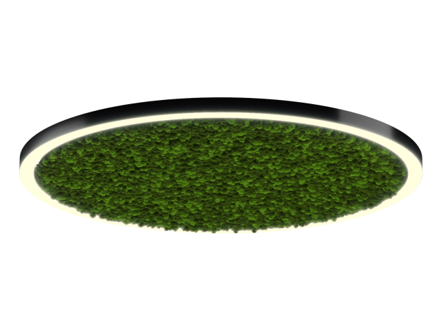 Lamp HOKASU Halo Moss (RAL9005/D2000/LT70 — 3K/188W/120deg)