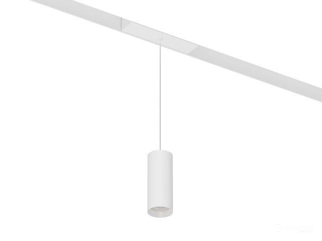 Lamp HOKASU OneLine Tube Hang (RAL9003/D40/100mm/Lens — 4K/7W/36deg)