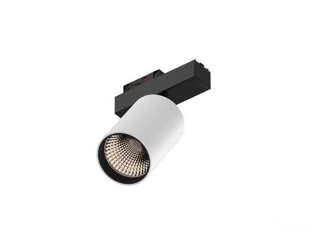 Lamp TrackLine Focus (RAL9003+B/D75/120mm — 3K/20W/38deg)