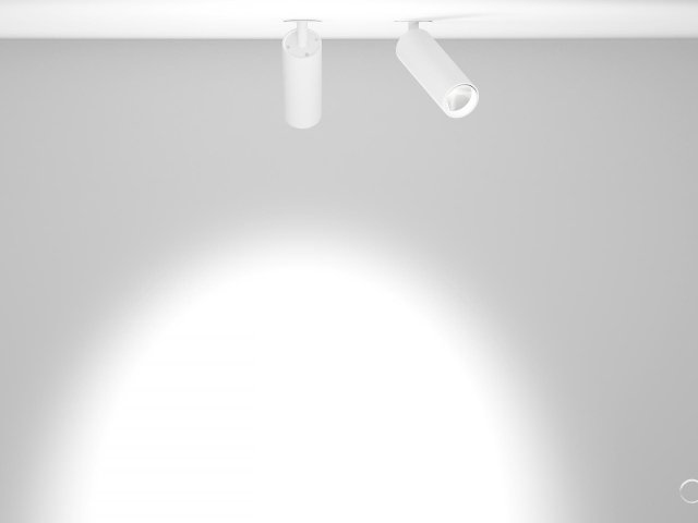 Lamp Trunk IN